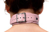Miss Behaved Chest Harness